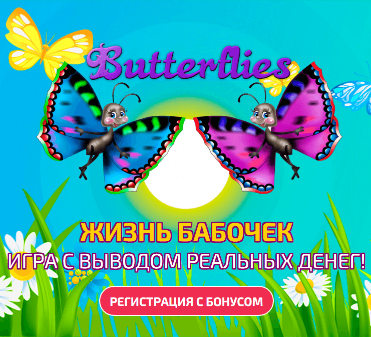 Butterflies