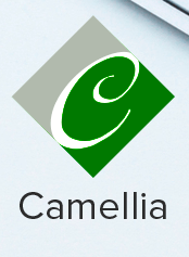 Camellia